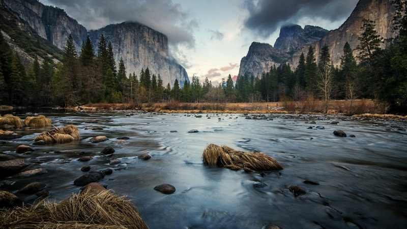 Yosemite Day Trip with Giant Sequoias From San Francisco